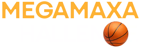 Logo Maxa