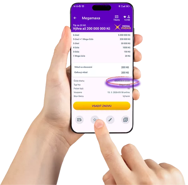 Vyplnění tiketu online